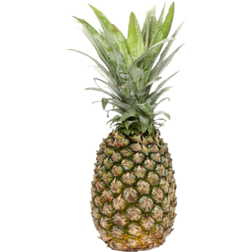 Choice Harvest Pineapple Jumbo| PC
